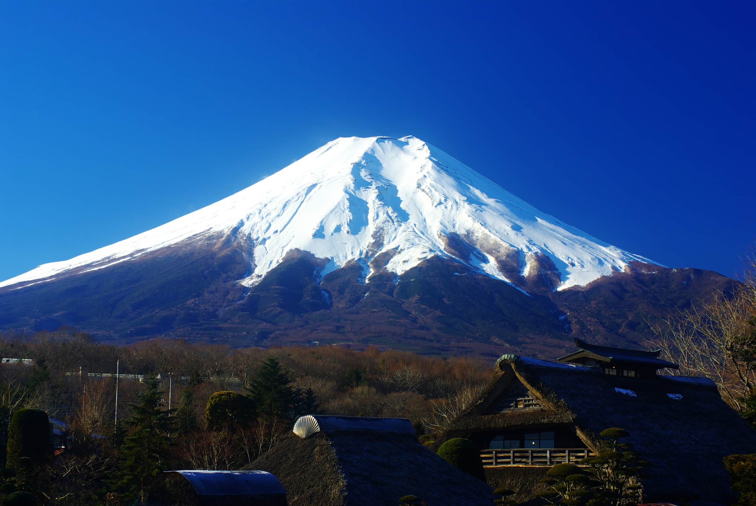 富士山忍野忍村新晋网红一日游